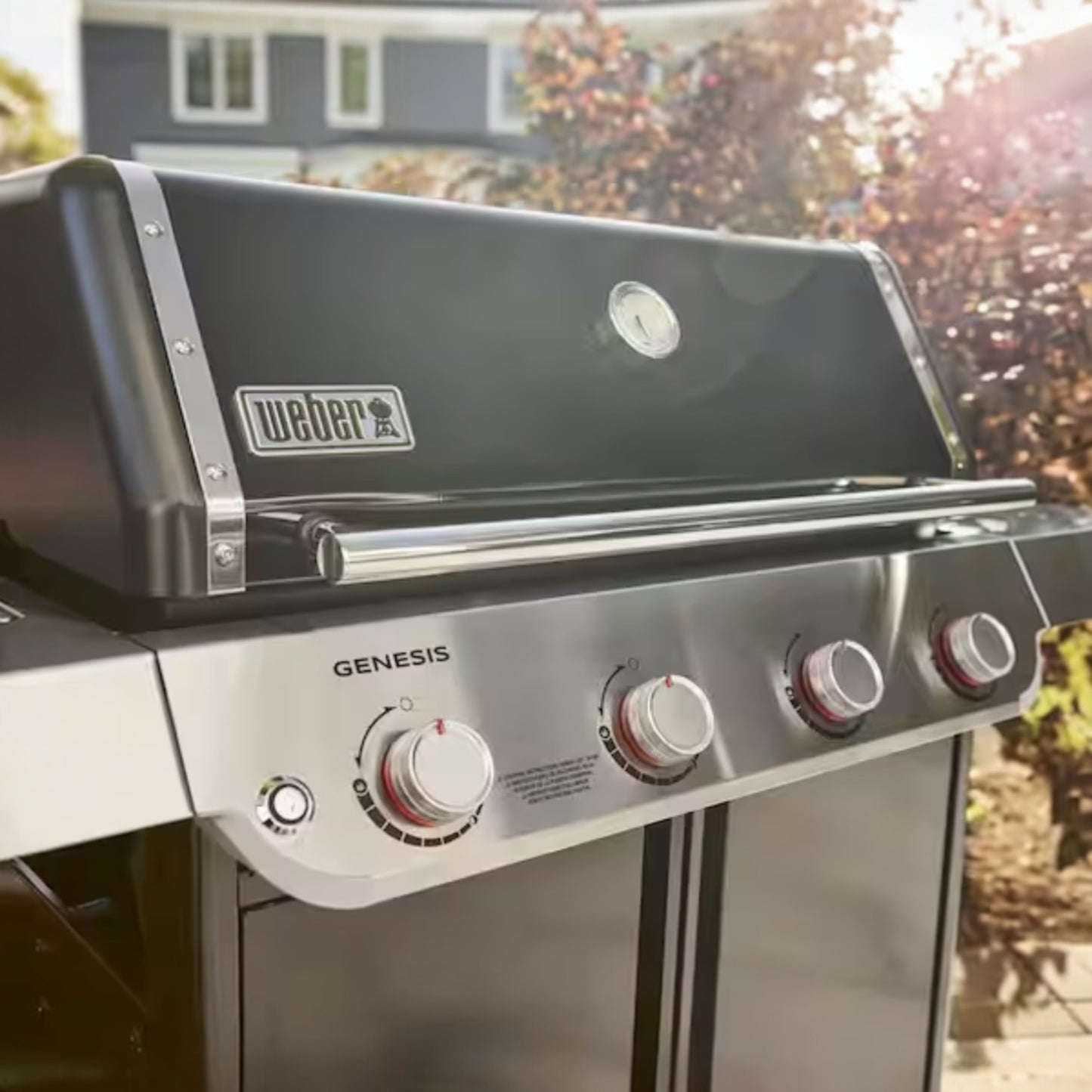 WEBER Génesis 4 Quemadores