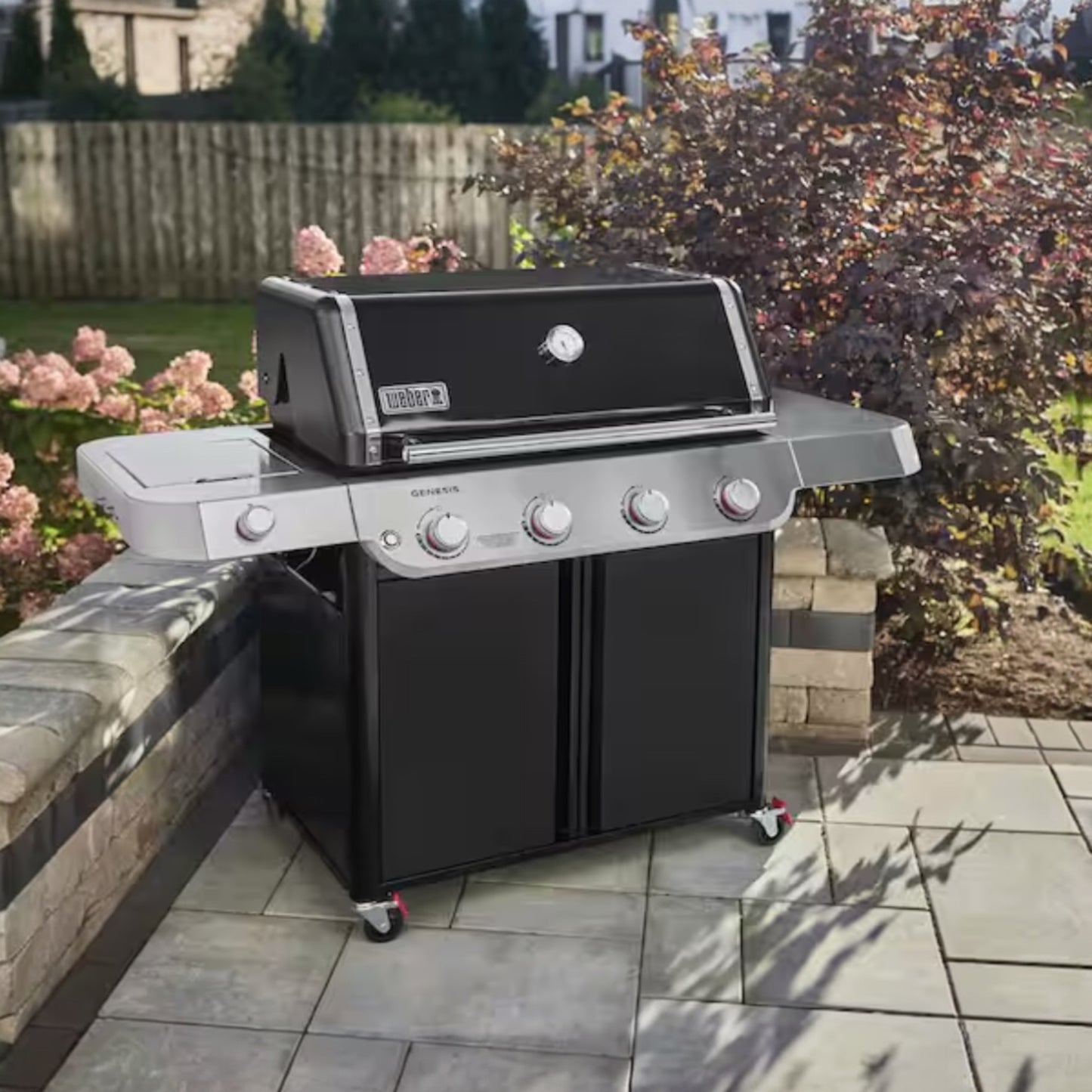 WEBER Génesis 4 Quemadores